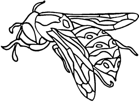 Wasp  Coloring Page